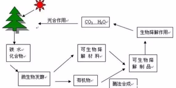 【力美新材料】可降解绿色塑料包装？又有新发现...